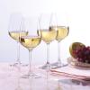 Lenox Tuscany Classics 4pc Pinot Grigio Glass Set, 2.55 LB, Clear