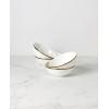 Lenox 869125 Contempo Luxe Accent Plate(Placesetting Bowls  Set of 4)