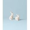 Lenox 893456 Butterfly Meadow Bunny Salt & Pepper, Easter Serveware(Salt & Pepper Set)