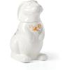 Lenox 893456 Butterfly Meadow Bunny Salt & Pepper, Easter Serveware(Cookie Jar)