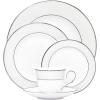 Lenox 806503 Opal Innocence Stripe Teacup, 6 oz(5-Piece Place Setting)