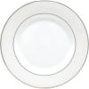 Lenox 806503 Opal Innocence Stripe Teacup, 6 oz(Salad Plate)