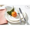 Lenox Blue Bay 4-Piece Set Dinner Plates, 6.40 LB