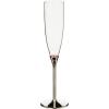 Kate Spade New York Rosy Glow 2-Piece Champagne Flute Set(Toasting Flutes)