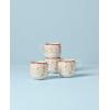 Lenox BM COTTAGE DW MUGS S/4 SAFFRON
