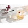 Reed & Barton 894880 Hudson Toasting Flute Pair(Double Old Fashioned Glasses  Set of 4)