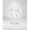 kate spade new york Charmed Life 2-Piece Toasting Flutes, Clear(Toasting Flutes)