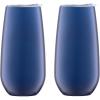 Cambridge 6 Oz Navy Champagne Flutes, Set Of 2, 2 Count, No Color