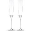 Kate Spade New York Grace Avenue 2-Piece Champagne Flute Set, 2 Count (Pack of 1), Metallic