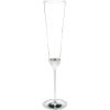 Kate Spade New York Take The Cake 2-Piece Champagne Flute Set, 2 Count (Pack of 1), Clear(Toasting Flutes)