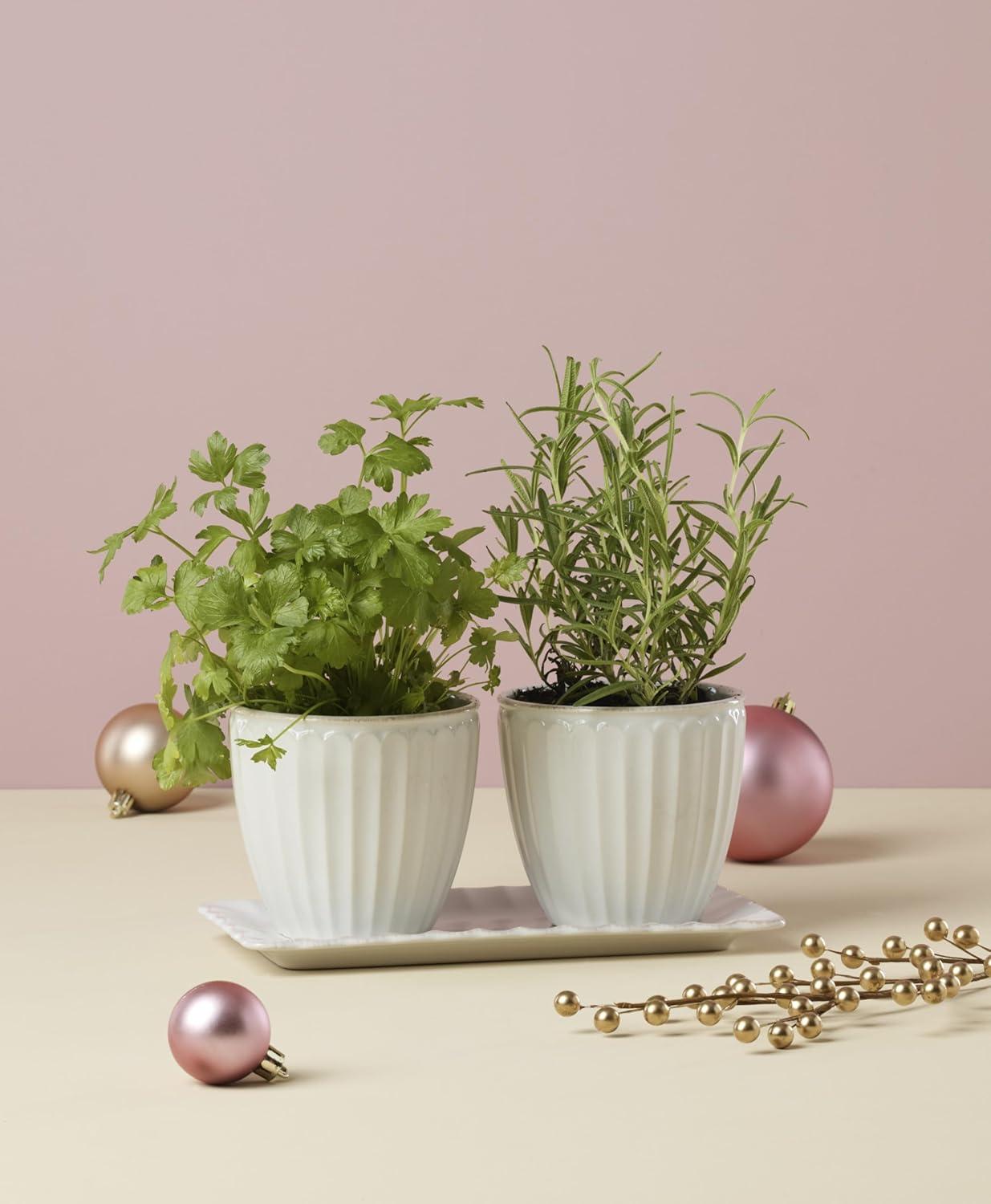 imageLenox 895081 French Perle Scallop Cylinder VaseHerb Pot with Tray