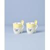 Lenox 897804 Butterfly Meadow Color Mugs With Spoons, Set Of 2, Yellow