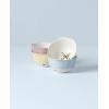 Lenox 791720 Butterfly Meadow 4-Piece Dessert Bowl Set