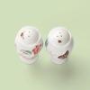 Lenox Butterfly Meadow Salt & Pepper Shakers, 0.65 LB, Multi