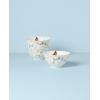 Lenox 894543 Butterfly Meadow Vines 4-Piece Rice Bowl Set(Rice Bowls  Set of 4)