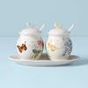 Lenox Butterfly Meadow 7-Piece Condiment Set, White –