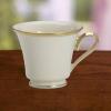 Lenox 140104030 Eternal Teacup 1 Piece, Service for 1, Porcelain, 6 Fl Oz(Tea Cup  Ivory)