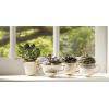 Lenox 140104030 Eternal Teacup 1 Piece, Service for 1, Porcelain, 6 Fl Oz(Tea Cup  Ivory)