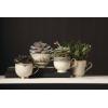 Lenox 140104030 Eternal Teacup 1 Piece, Service for 1, Porcelain, 6 Fl Oz(Tea Cup  Ivory)