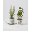 Lenox 898924 Chef Snoopy 3-Piece Herb Pot & Tray Set