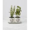 Lenox 898924 Chef Snoopy 3-Piece Herb Pot & Tray Set