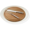 Platter & Carving  4 Pc